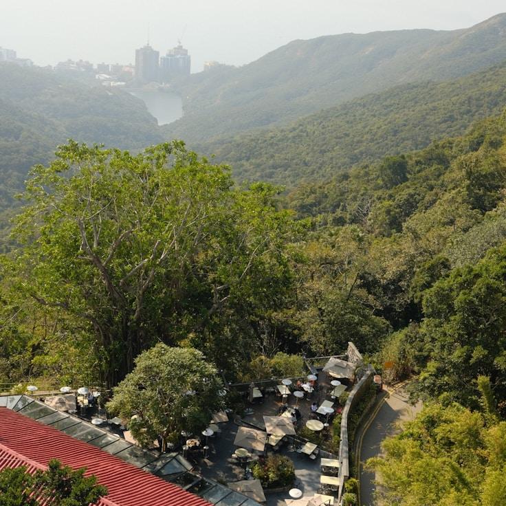 Family terraces and cafés for calm evenings in Lille
